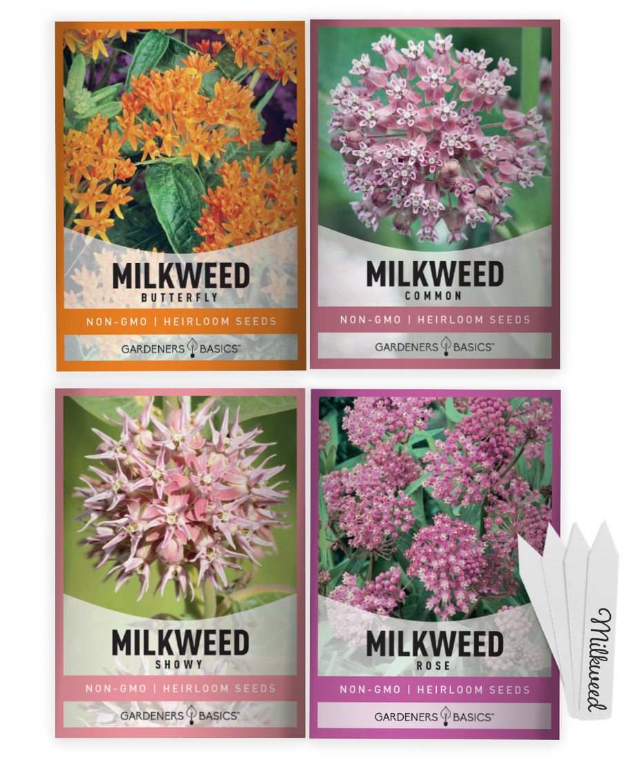 Milkweed Seed Assortment For Monarch Butterflies