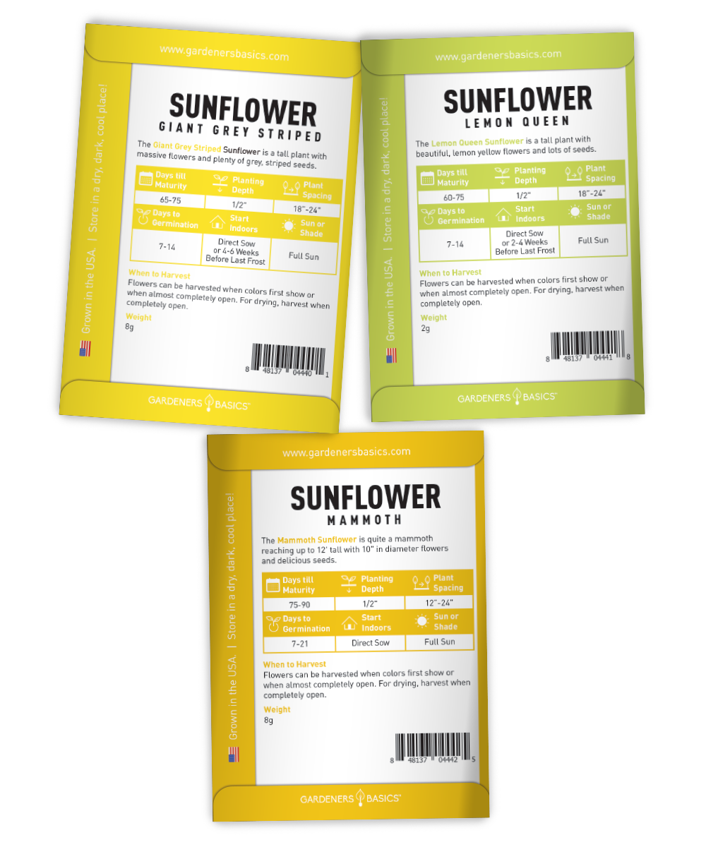 Jumbo Mix Sunflower Seeds For Planting – 50+ Seeds – Helianthus Annual – Easy Grow Outdoor