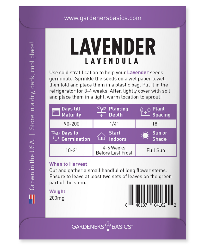 Grow Lavender for Culinary, Fragrance, and Herbal Benefits