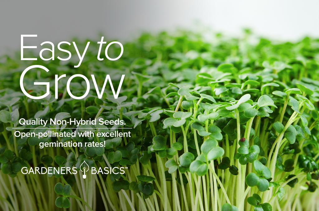 Elevate Your Wellness Journey with Waltham 29 Broccoli Sprouting Seeds