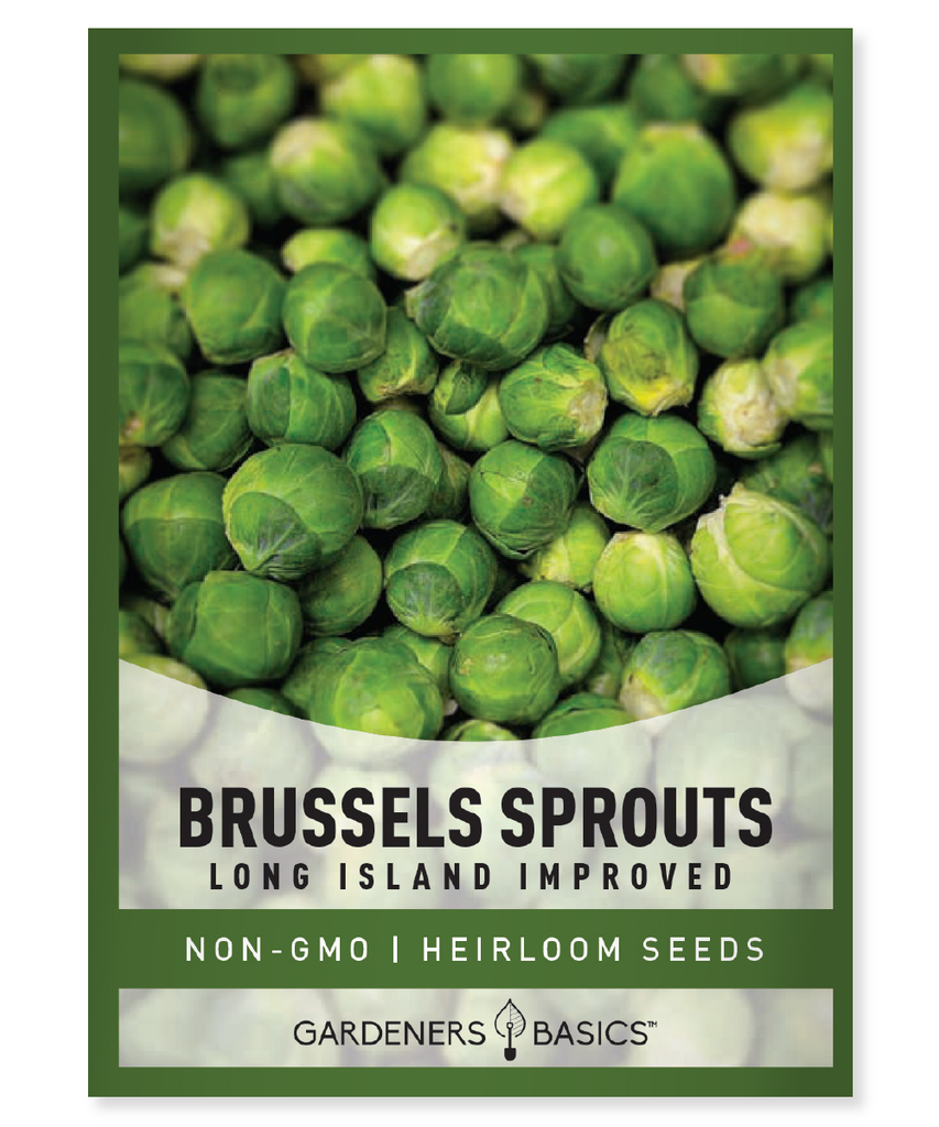 Long Island Improved Brussels Sprouts Seeds For Planting Non-GMO Seeds For Home Vegetable Garden