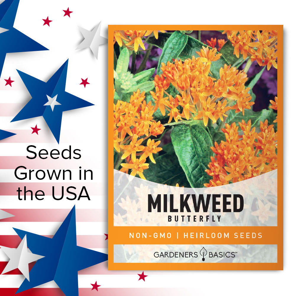 Butterfly Milkweed: A Beautiful and Beneficial Plant