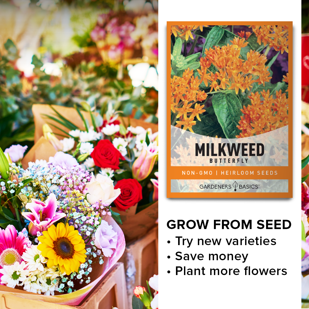 Butterfly Milkweed: Enhancing Your Garden's Biodiversity