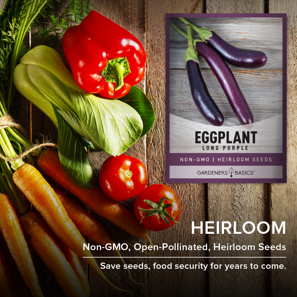 Experience Homegrown Flavor with Long Purple Eggplant Seeds