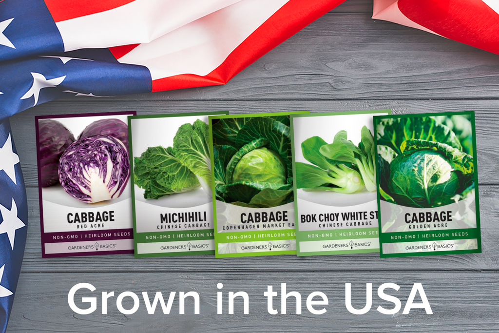 Unparalleled Cabbage Seed Assortment: Grow the Healthiest & Tastiest Varieties