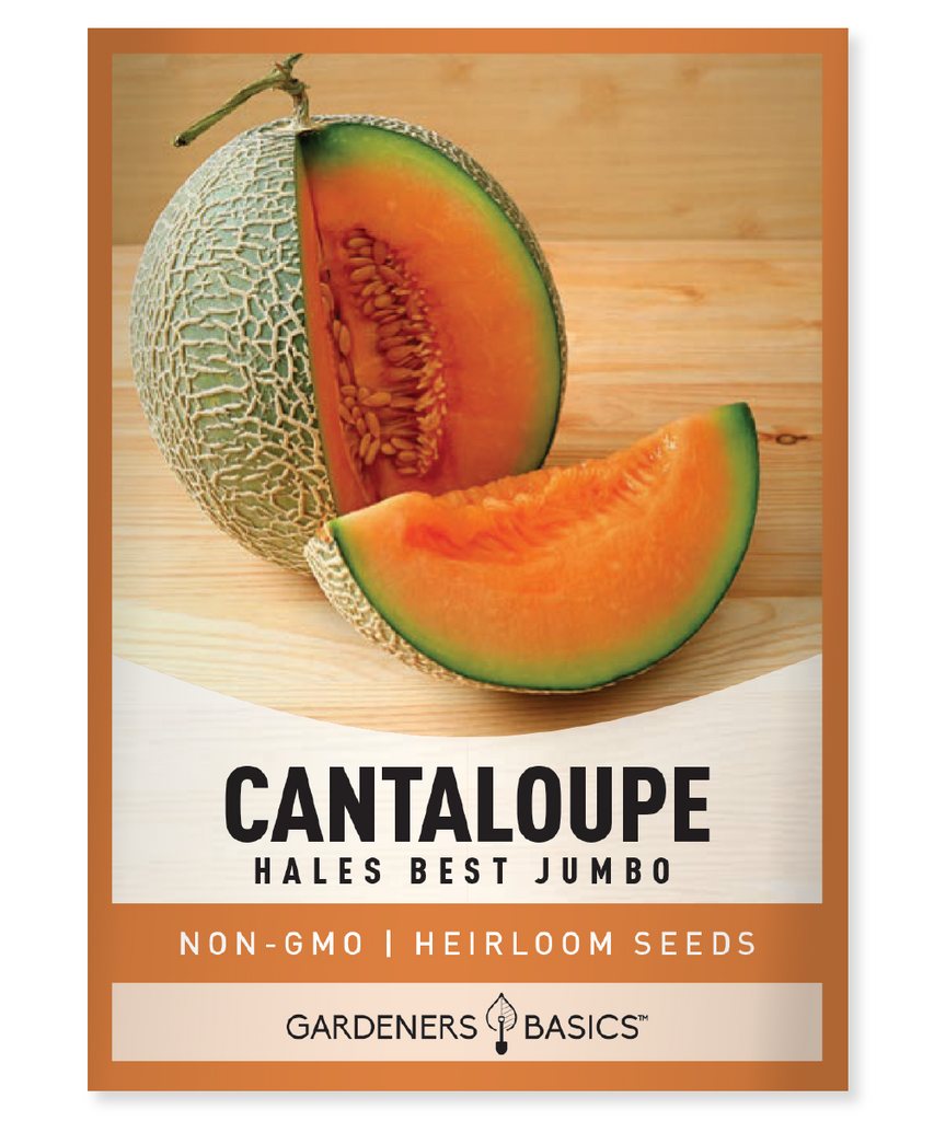 Hales Best Jumbo Cantaloupe Seeds Cantaloupe seeds for planting Heirloom cantaloupe seeds Non-GMO cantaloupe seeds Easy-to-grow cantaloupe Juicy cantaloupe variety Home gardening Fruit seeds for planting Sustainable gardening Large cantaloupes