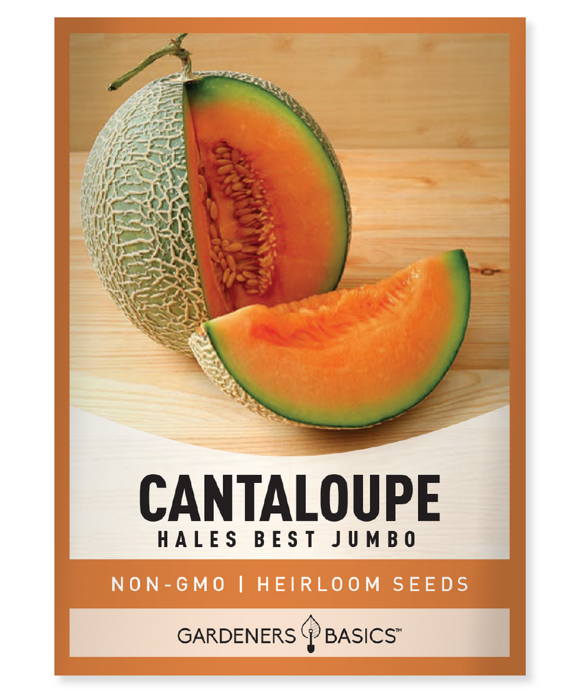 Hales Best Jumbo Cantaloupe Seeds For Sale Delicious & Juicy Melons