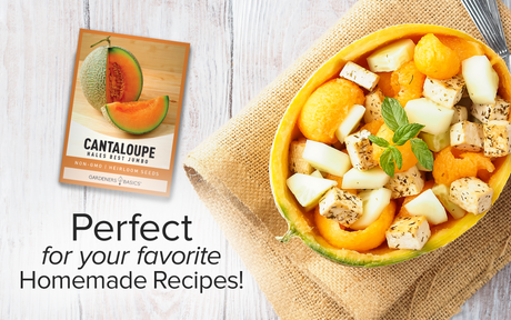 Hales Best Jumbo Cantaloupe Seeds For Planting Non-GMO Fruit Seeds For Home Fruit Garden Homemade Recipes