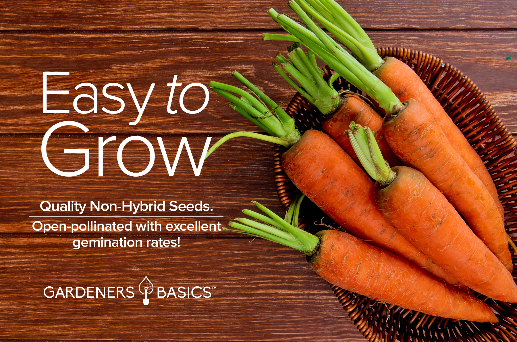 planting nantes carrot seeds Carrot Seeds for Planting - Scarlet Nantes - Daucus Carota