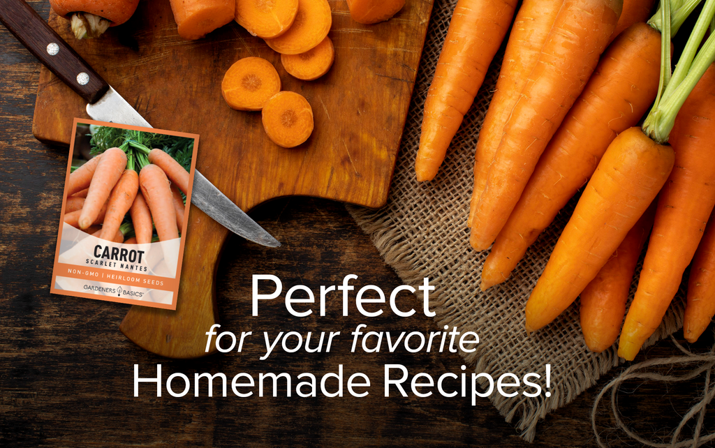 Scarlet Nantes Carrot Seeds For Planting Non-GMO Seeds For Home Vegetable Garden Homemade Recipes
