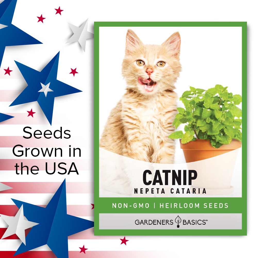 Grow a Catnip Paradise - Premium Catnip Seeds for Your Home Garden
