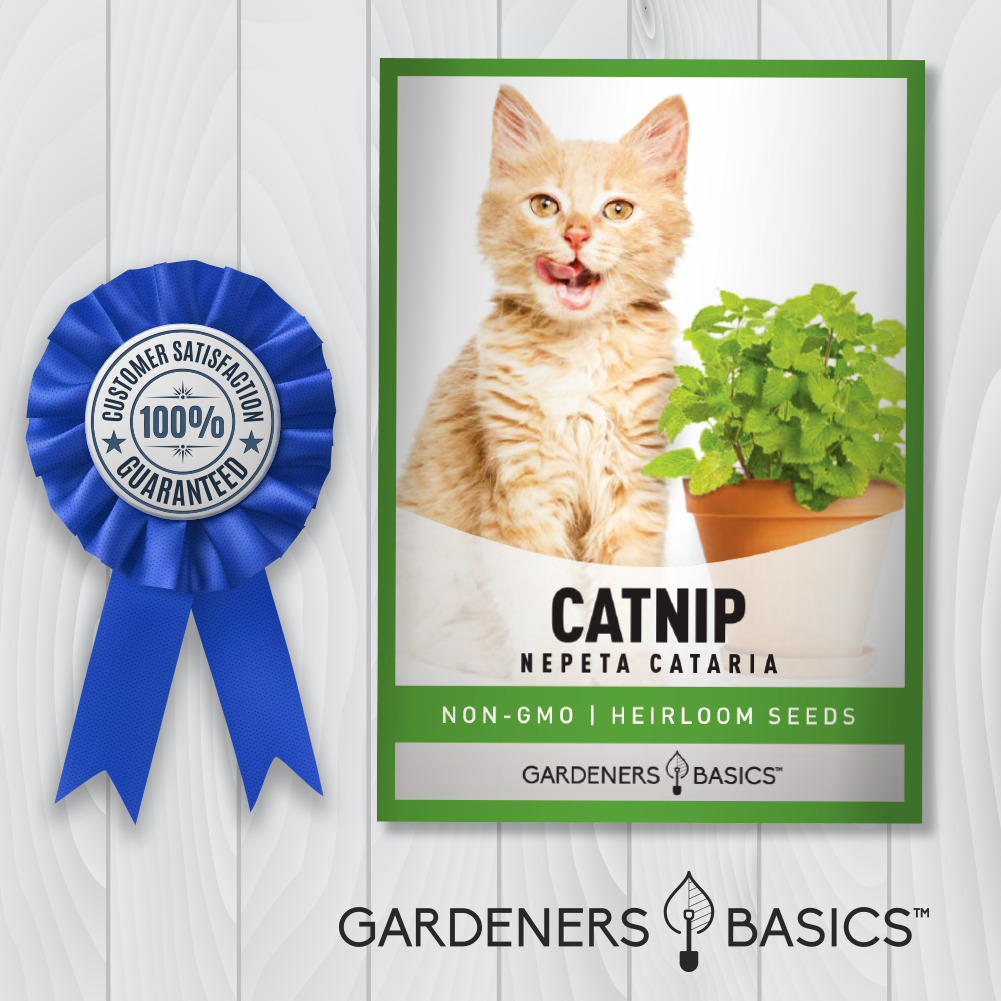 Catnip Seeds - A Must-Have for Every Cat Owner and Gardening Enthusiast