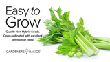 UT 52-70 Celery Seeds For Planting Non-GMO Seeds For Home Vegetable Garden Easy To Grow