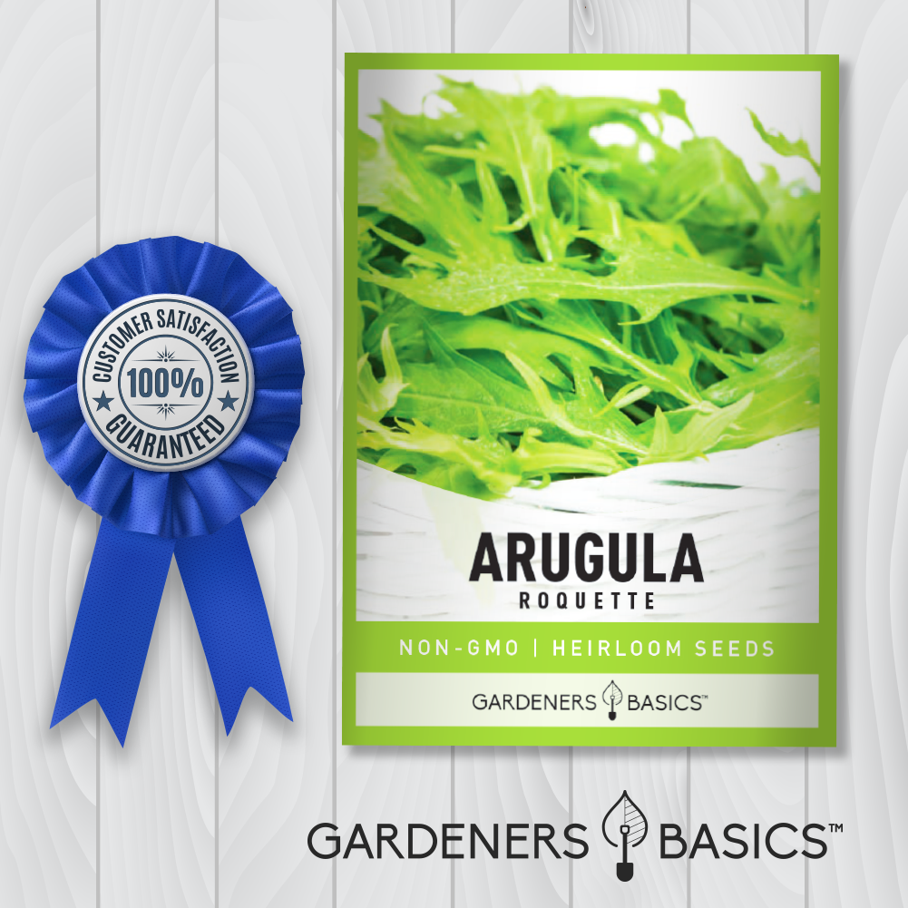 Roquette Arugula Seeds For Planting Non-GMO Seeds For Home Garden