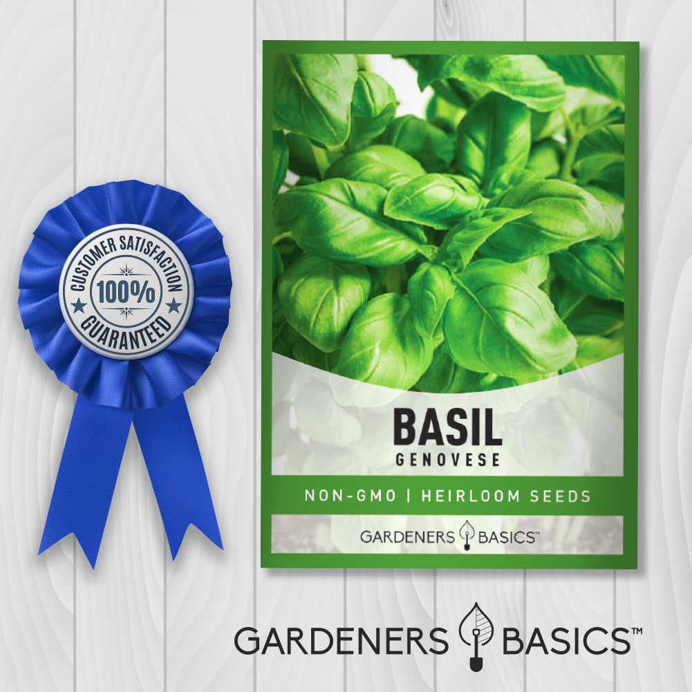 Genovese Basil Seeds For Planting Non-GMO Seeds For Home Garden
