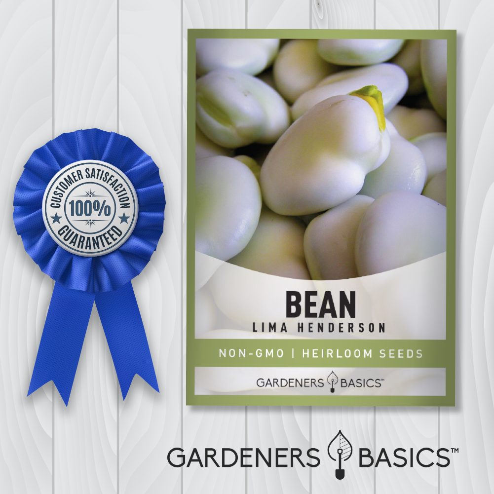 Lima Henderson Bean Seeds For Planting Non-GMO Seeds For Home Garden