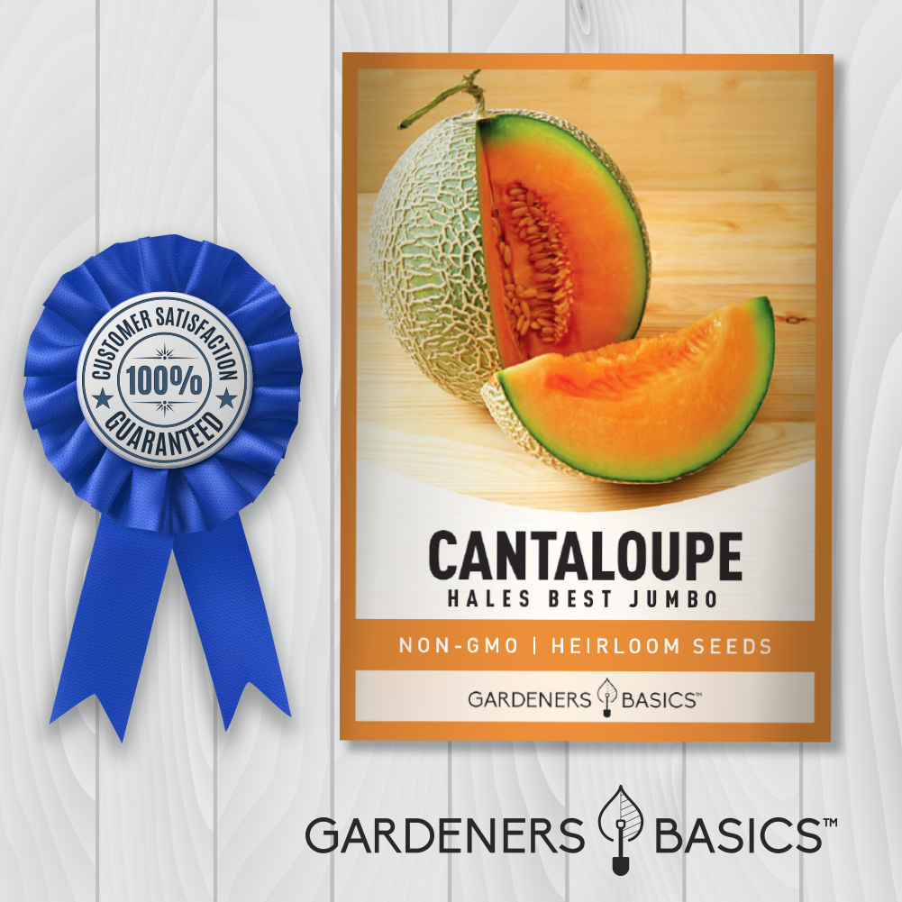 Hales Best Jumbo Cantaloupe Seeds For Planting Non-GMO Fruit Seeds For Home Garden