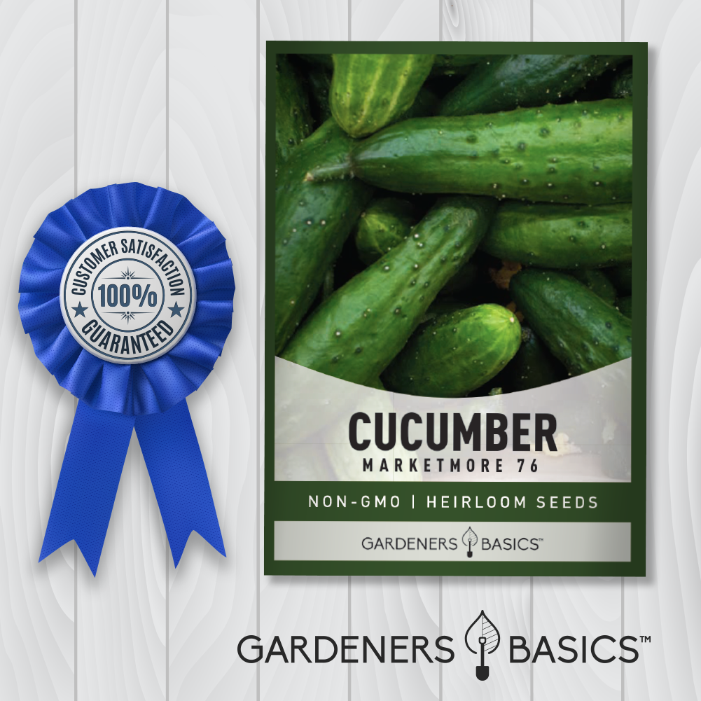 Marketmore 76 Cucumber Seeds For Planting Non-GMO Seeds For Home Garden
