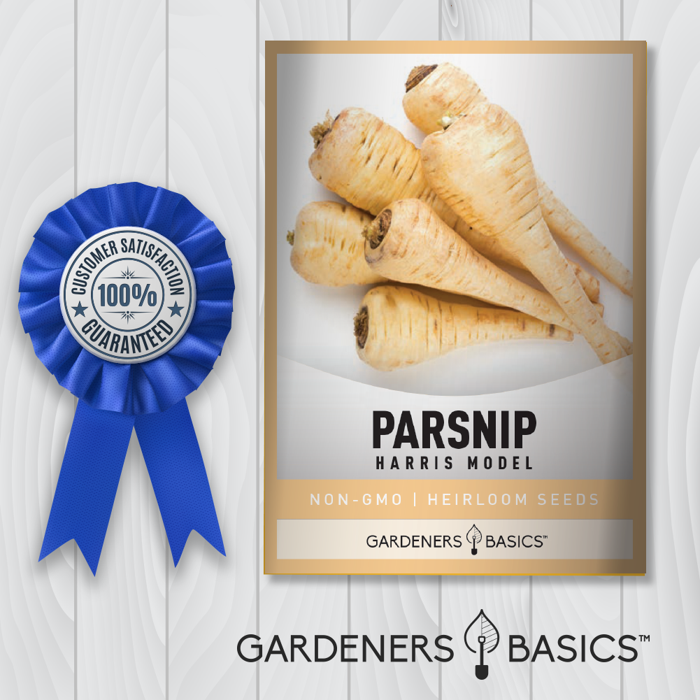 Harris Model Parsnip Seeds For Planting Non-GMO Seeds For Home Garden