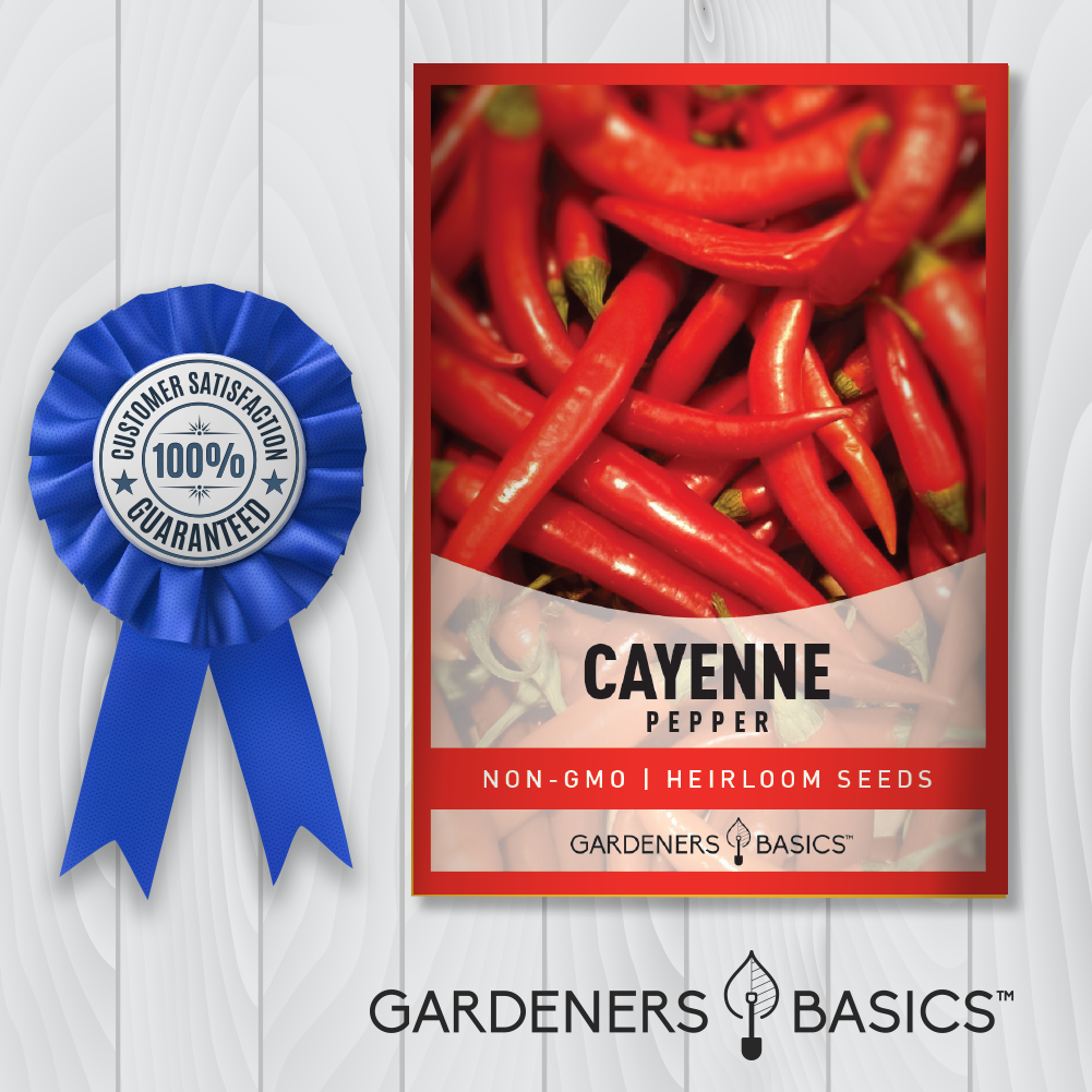 Cayenne Pepper Seeds For Planting Non-GMO Seeds Home Vegetable Garden