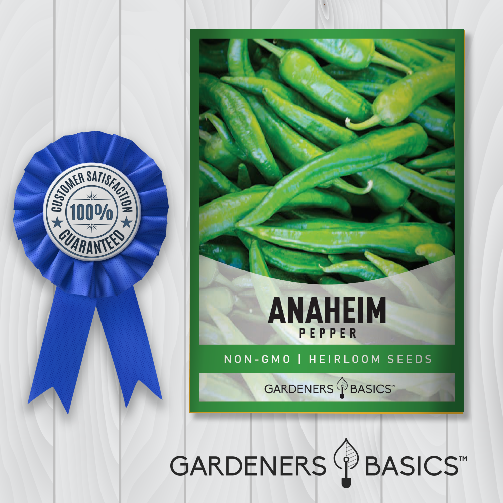 Anaheim Pepper Seeds For Planting Heirloom Non-GMO Vegetable Seeds For Home Vegetable Garden
