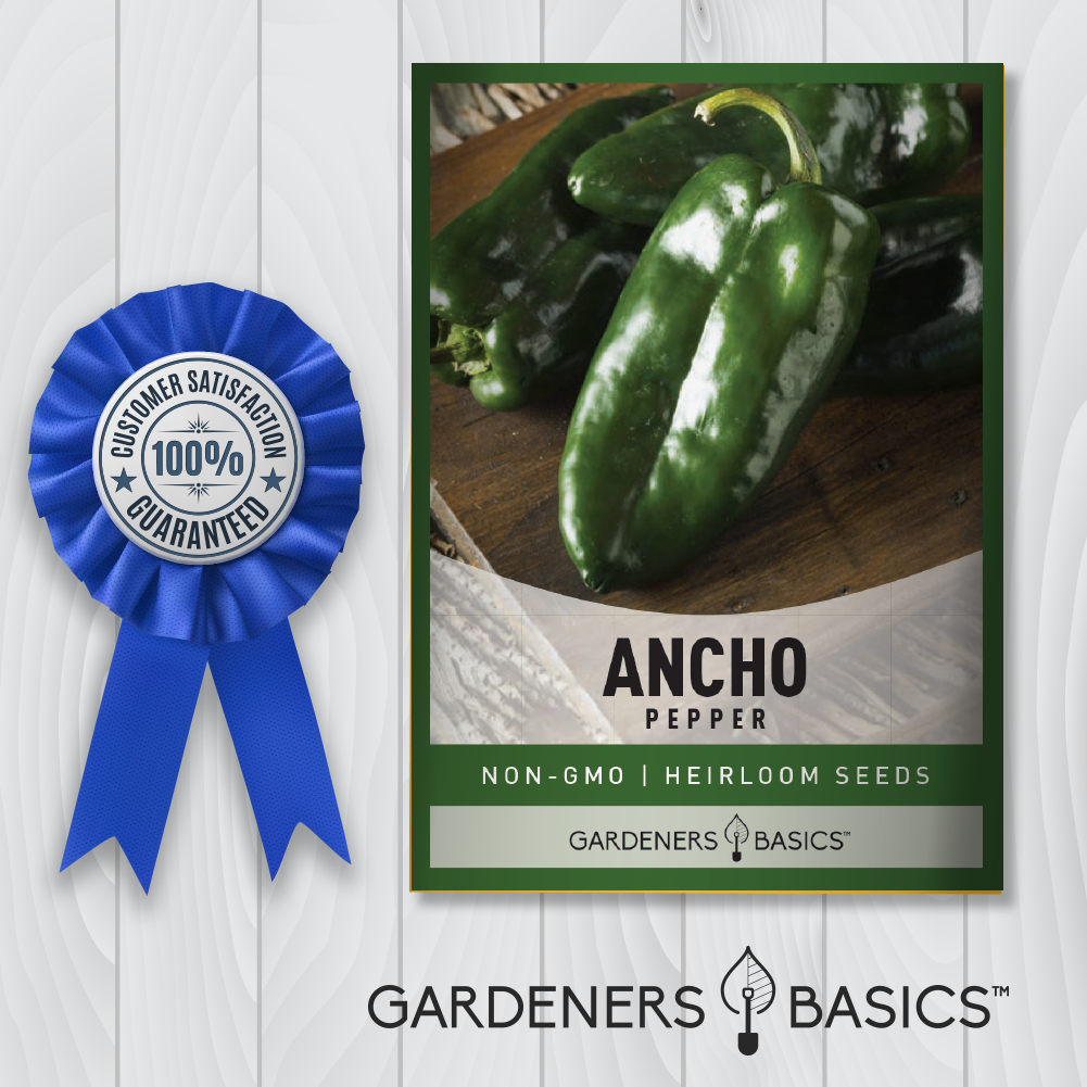 Ancho Pepper Seeds For Planting Heirloom Non-GMO Home Garden Seeds Vegetable