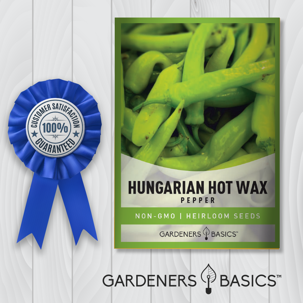 Hungarian Hot Wax Pepper Seeds For Planting Non-GMO Seeds For Home Pepper Garden