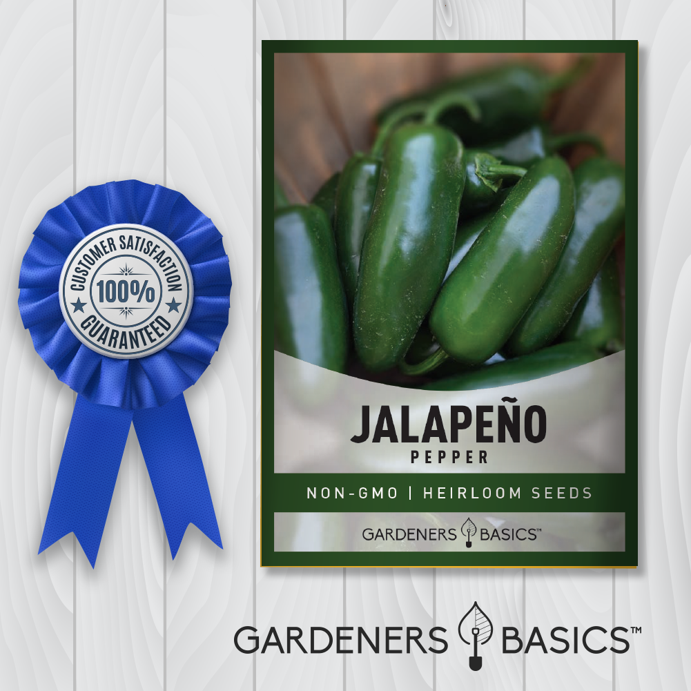 Jalapeno Pepper Seeds For Planting Non-GMO Seeds Home Vegetable Garden