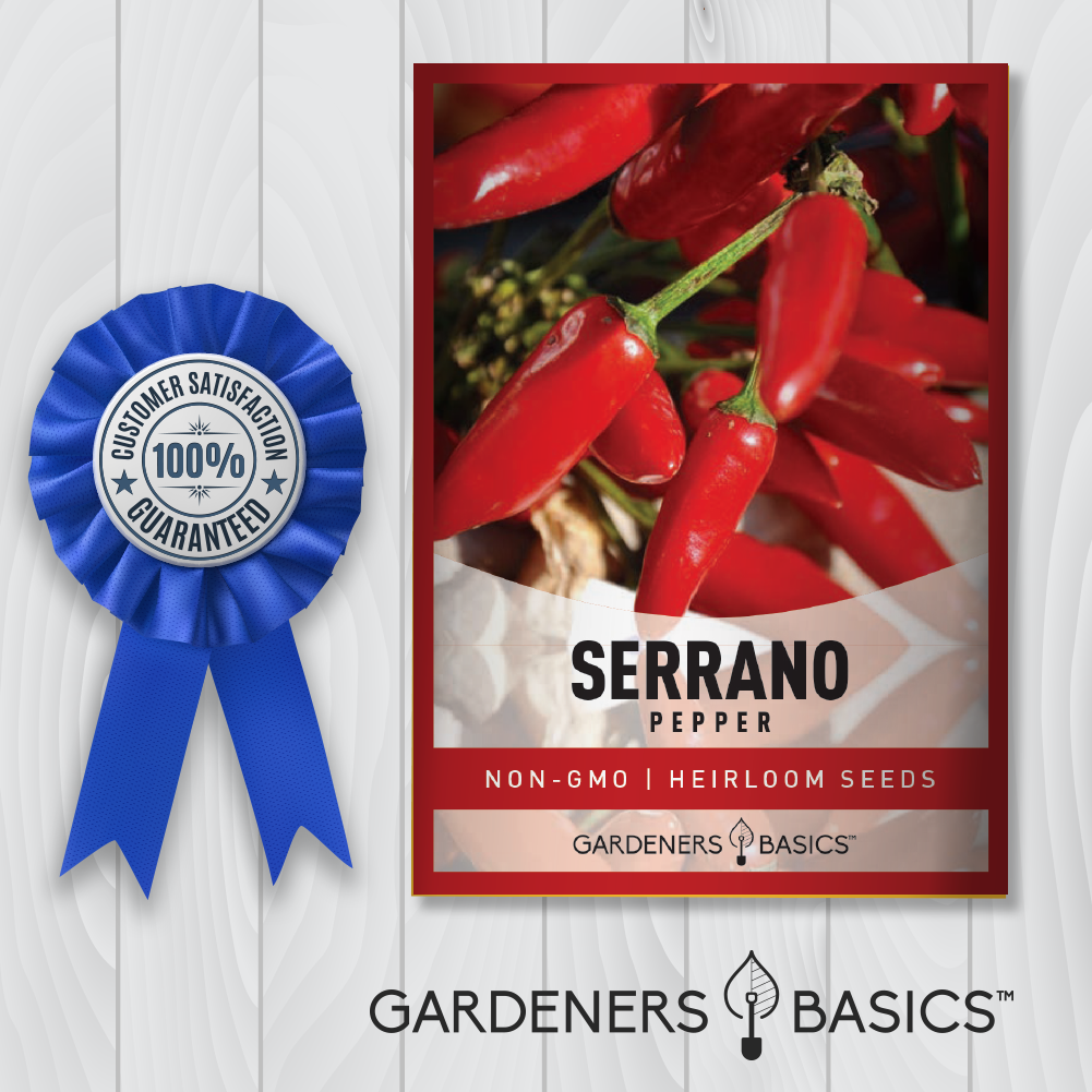Serrano Pepper Seeds For Planting Non-GMO Seeds For Home Pepper Garden