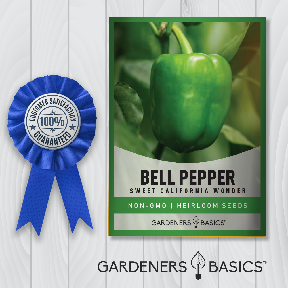 100 Organic Sweet Bell Pepper Seeds – California Wonder Heirloom, NON-GMO, USA Grown