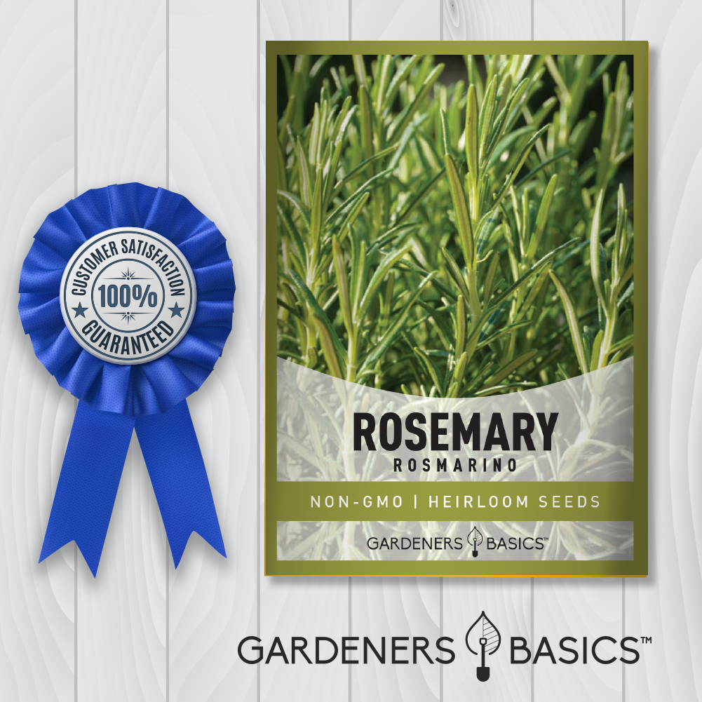 Quality Rosemary Seeds: Transform Your Outdoor Space into a Mediterranean Oasis