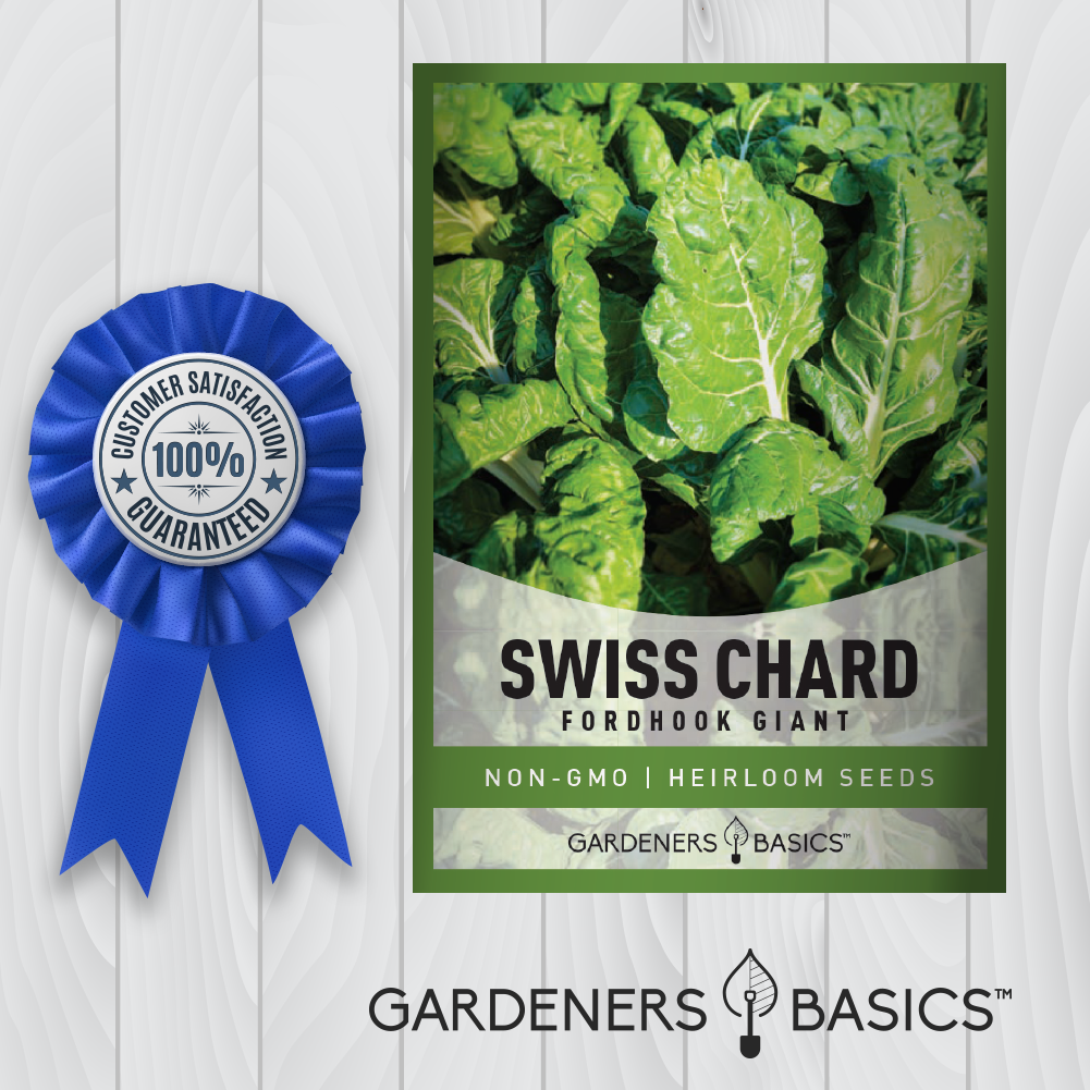 Fordhook Giant Swiss Chard Seeds For Planting Non-GMO Seeds For Home Garden