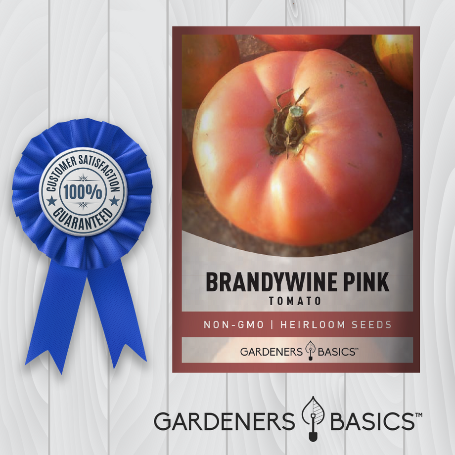 Brandywine Pink Tomato Seeds – Gardeners Basics