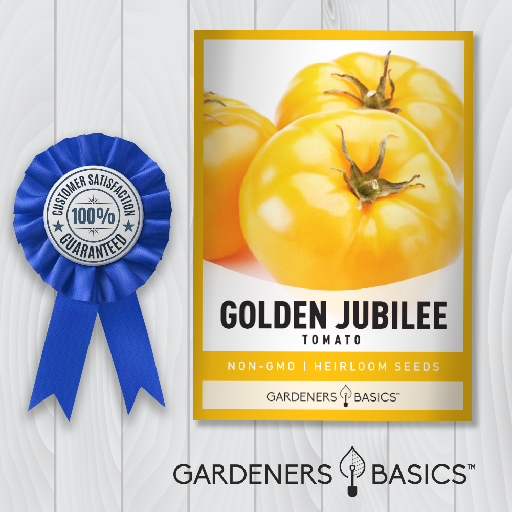 Golden Jubilee Tomato Seeds For Planting Non-GMO Seeds For Home Tomato Garden
