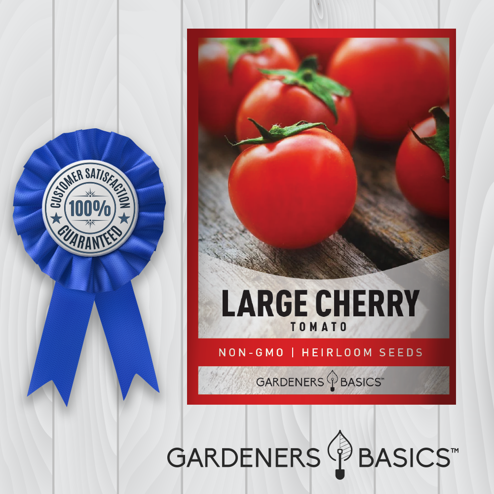Large Cherry Tomato Seeds For Planting Non-GMO Seeds For Home Garden