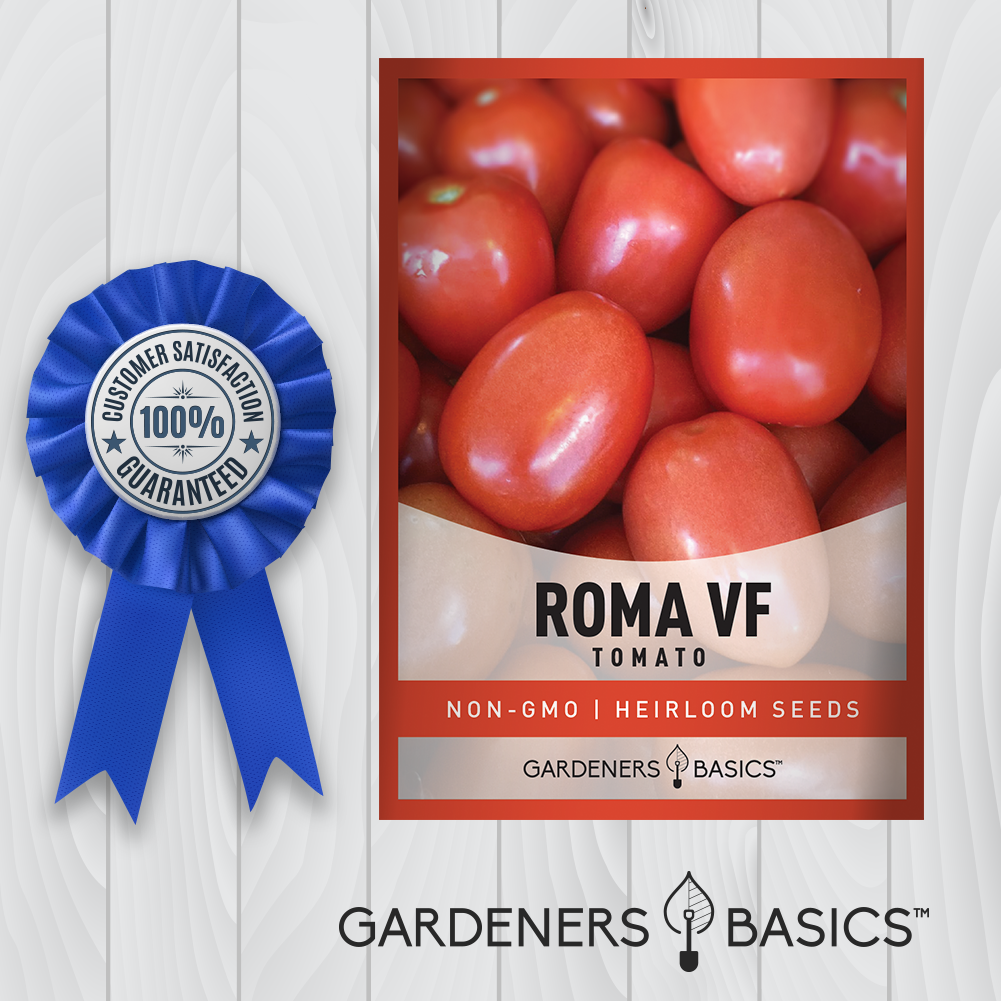 Roma VF Tomato Seeds For Planting Non-GMO Seeds For Home Garden