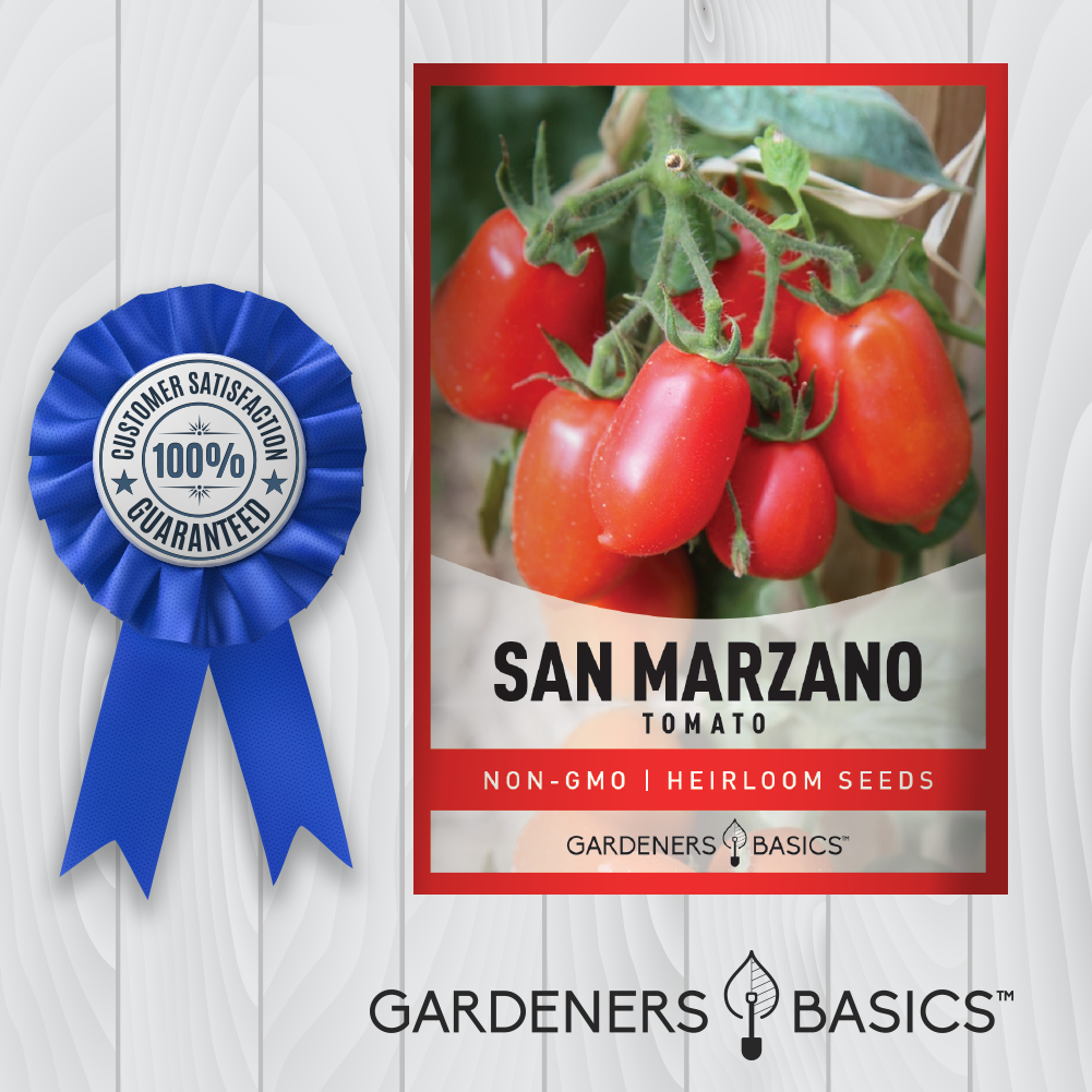 San Marzano Tomato Seeds For Planting Non-GMO Seeds For Home Tomato Garden