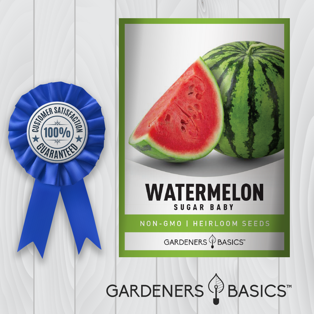 Sugar Baby Watermelon Seeds For Planting Non-GMO Seeds For Home Garden