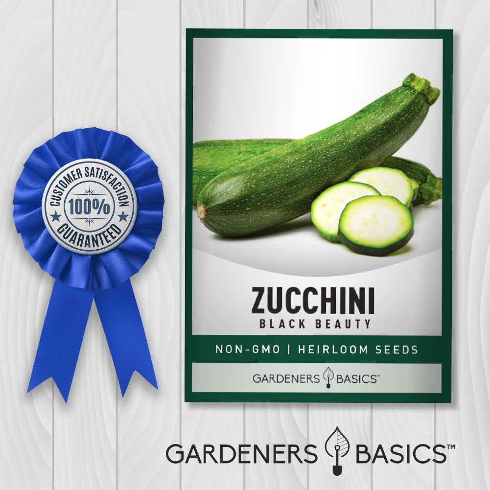 Black Beauty Zucchini Seeds For Planting Home Vegetable Garden Seeds Non-GMO Heirloom