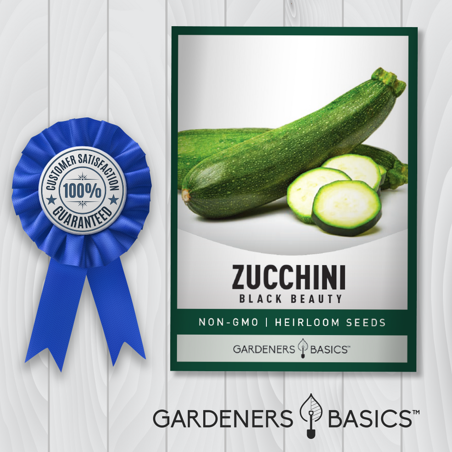 Black Beauty Zucchini Seeds: The perfect addition to your home