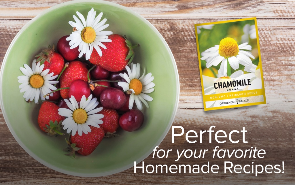 Aromatic Roman Chamomile: The Perfect Touch for Your Garden Space