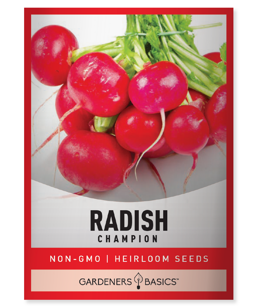 Champion Radish Seeds Heirloom Radish Seeds Non-GMO Radish Seeds Organic Radish Seeds Radish Seeds for Planting Radish Garden Radish Harvest Nutrient-Dense Radishes Easy to Grow Radishes Homegrown Radishes Radish Varieties Vegetable Garden Radish Companion Plants Radish Cultivation Radish Planting Tips Flavorful Radishes Healthy Radishes Vibrant Radishes Crunchy Radishes Radish Seed Selection