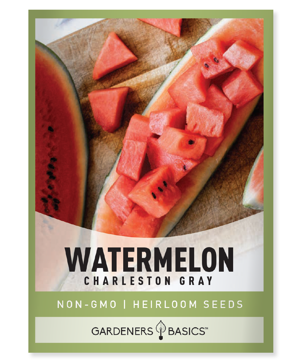 Charleston Gray Watermelon Seeds For Planting: Taste the Difference ...
