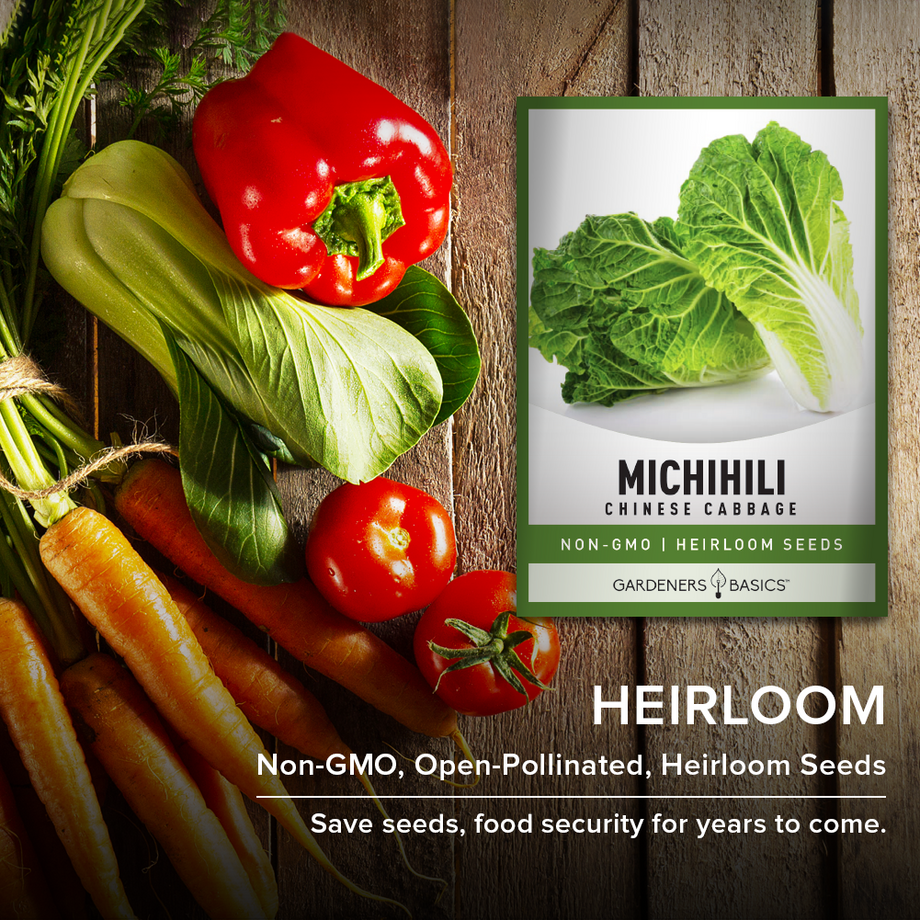 chinese garden seeds Michihili Chinese Cabbage Seeds for Planting in Your Home Garden –  Gardeners Basics