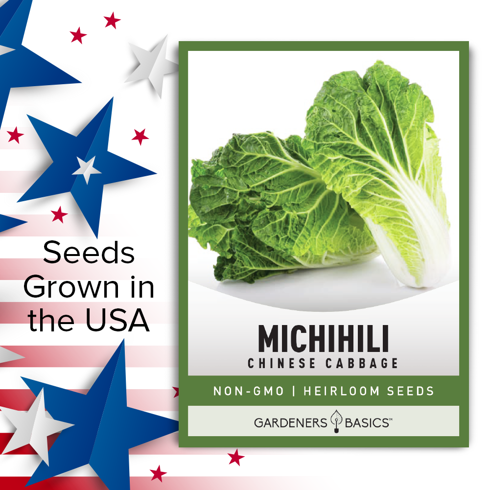 Grow Fresh, Nutritious Michihili Chinese Cabbage with Our Planting Seeds