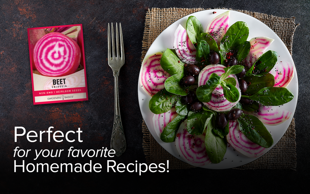Chioggia Beet Seeds: Enjoy the Healthiest and Most Delicious Beetroots Ever