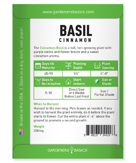 Growing Cinnamon Basil: Aromatic and Delicious Herb for Your Culinary Adventures