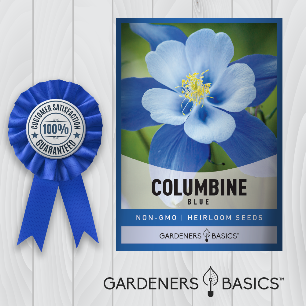 Bring the Rocky Mountains Home with Blue Columbine Seeds
