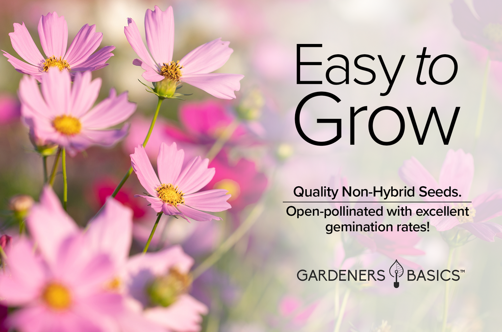 Attract Pollinators to Your Garden with Cosmos Sensation Mix Seeds