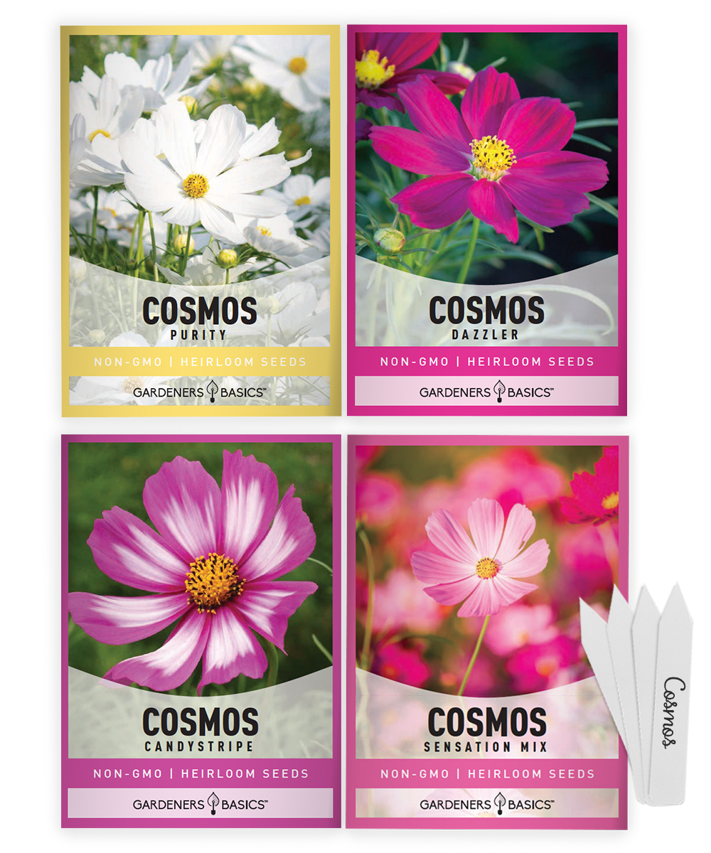 cosmos flower seed collection Grow Stunning Cosmos Flowers – Non-Hybrid, Heirloom Cosmos Seed Kit – Gardeners Basics